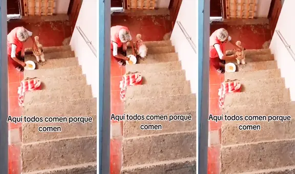 Adulta mayor conmueve las redes al darle de tomar sopa con una cuchara a su perrito