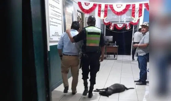 Capturan a primer regidor de Tumbes por conducir vehículo en aparente estado de ebriedad