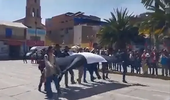 Cusco: ciudadanos desfilan con canción "Esta democracia ya no es democracia"