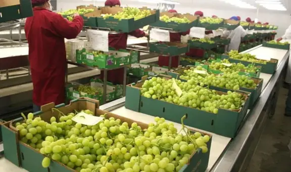 Perú superaría en el 2027 a Chile en agroexportaciones