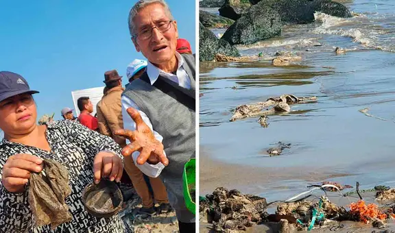 Defensoría pide a OEFA informar con urgencia sobre presencia de petróleo en playas en Ventanilla