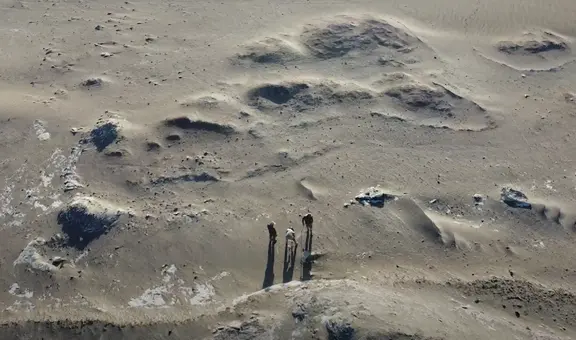 Hallazgo histórico en Perú: descubren restos del animal más pesado que ha vivido en la Tierra