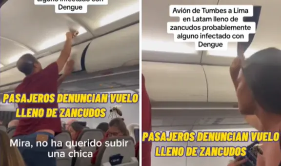 Denuncian que avión de LATAM viajaba de Tumbes a Lima infestado de zancudos
