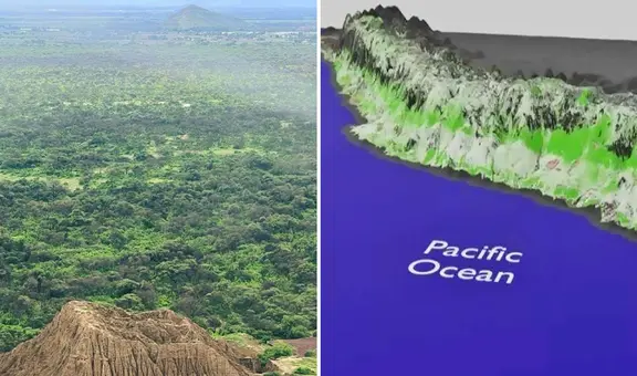 Científicos advierten que la costa de Perú se hace más verde: ¿por qué debe preocuparnos?