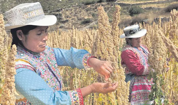 Productos orgánicos afrontan retos en sus exportaciones