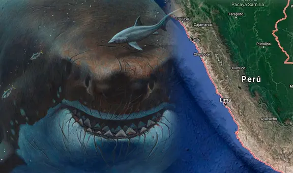 Así era el megalodón, el tiburón gigante que vivió en las costas del Perú por 10 millones de años