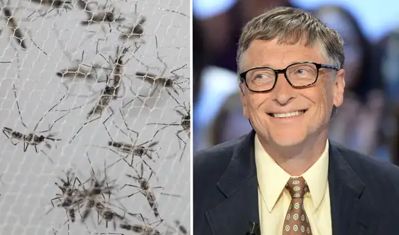 ¿Por qué Bill Gates tiene una granja en Sudamérica que produce 30 millones de mosquitos?