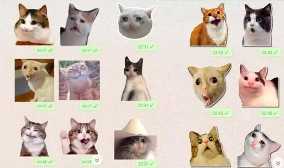 Día del Gato: ¿cómo descargar los mejores stickers para enviar a tus amigos por WhatsApp?