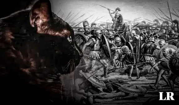 La aterradora batalla de los gatos en Egipto: la trágica historia de Pelusio