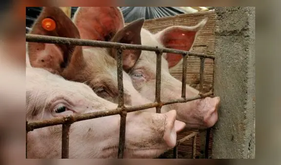 China entra en deflación: los precios en el gigante asiático retrocedieron -0,3% en julio