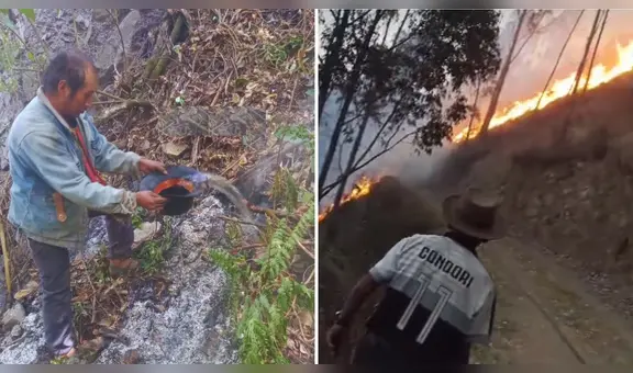 Apurímac: reportan 3 días de incendio forestal que consume flora y fauna en Lambrama