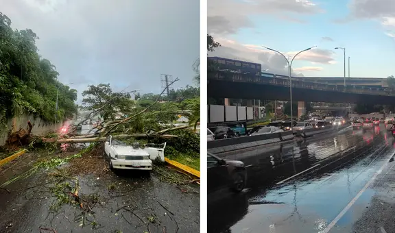 Lluvias en Caracas HOY: fuertes vientos provocan caídas de árboles en la capital de Venezuela