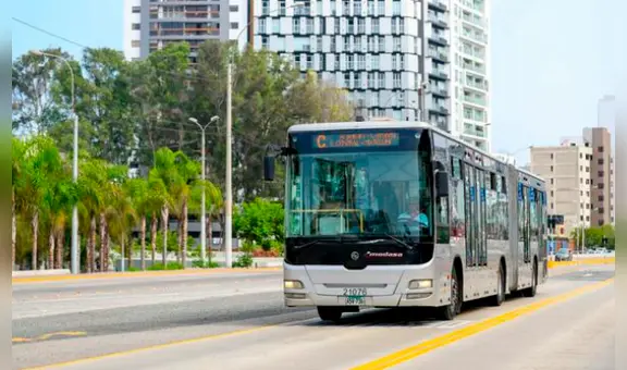 ¡Desde Matellini hasta Castilla! La ruta C del Metropolitano vuelve a operar desde este 14 de agosto