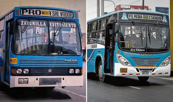 Etuchisa: ¿cuál es la historia de los populares 'chinos' y con qué escaso presupuesto inició?