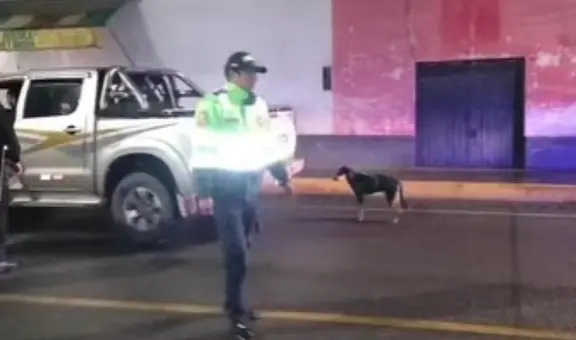 Detienen a chofer que arrastraba a su perro Tilim con una camioneta en Apurímac