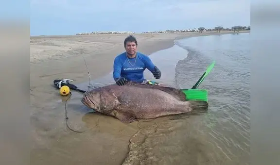 ¡Qué tal récord!: pescan mero de 195 kilos en mar de Tumbes