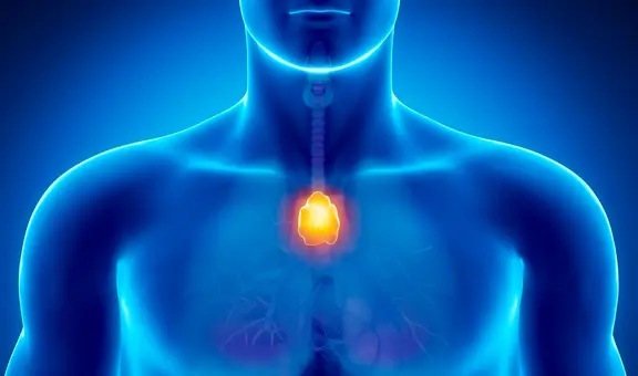 Un pequeño órgano que era considerado 'inútil' podría protegernos contra el cáncer, según estudio
