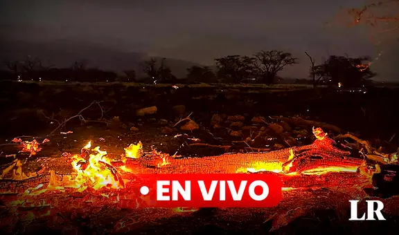 Incendios en Hawaii, últimas noticias: reportan 106 muertos por catástrofe forestal en isla de Maui