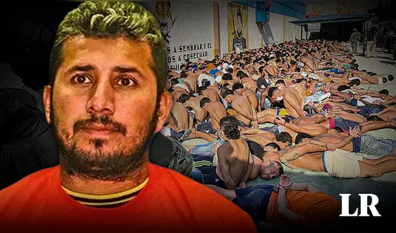 Lobos, Choneros y Lagartos: las bandas criminales más grandes de Ecuador con hasta 20.000 integrantes