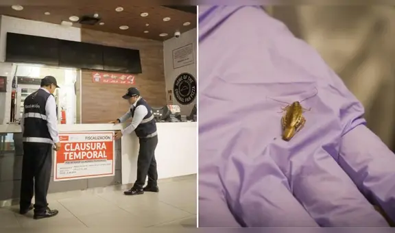 San Isidro: municipalidad clausura local de conocida pizzería por presencia de insectos