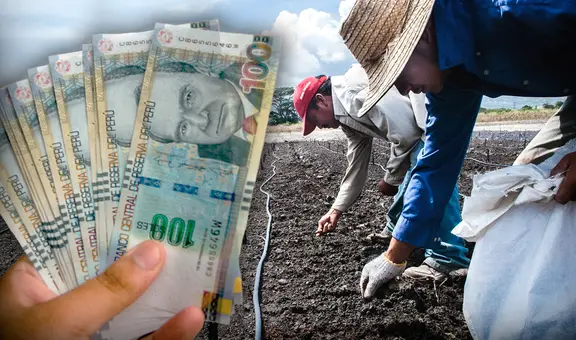 Fertiabono 2: beneficiarios podrán cobrar el subsidio hasta el jueves 31 de agosto