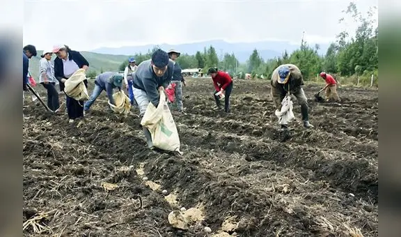 Ministerio de Desarrollo Agrario y Riego ha gastado menos del 50% de su presupuesto pese a crisis