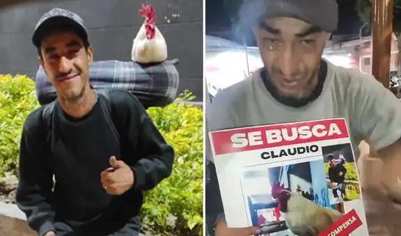 ¡Su fiel compañero! Extranjero ofrece recompensa por su gallito Claudio que fue robado en Ica