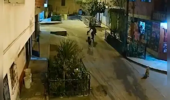 Ate: sujeto agrede violentamente a perro que se acercó a olfatearlo