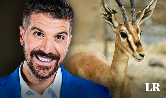 José Peláez: ¿quiénes son las famosas 'gacelas' en la vida del conductor de 'El gran chef: famosos'?