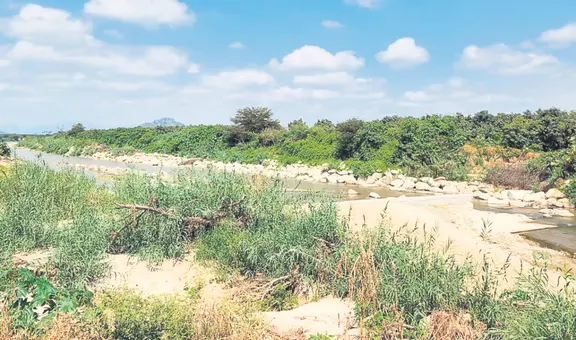 Lambayeque: Gerencia Regional de Agricultura sin dinero ni personal para culminar trabajos