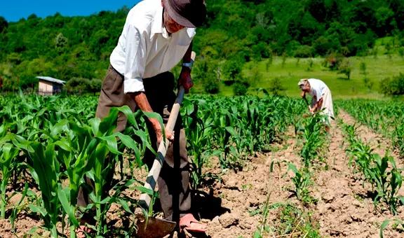 Agricultura 4.0: ¿qué es y cómo transformará la producción alimentaria?
