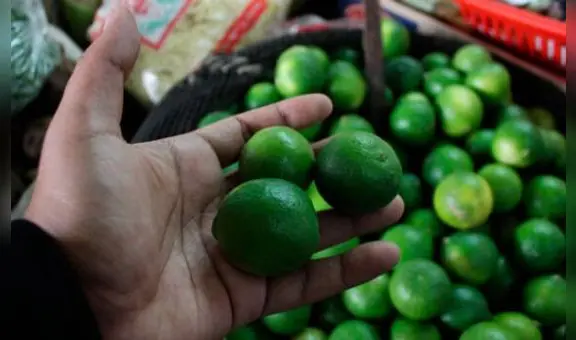 Conoce los precios de productos de primera necesidad en Arequipa: el limón cuesta S/9 el kilo