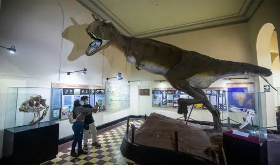 ¡No solo el Perucetus colossus! Estos son otros tesoros que ofrece el Museo Nacional de San Marcos