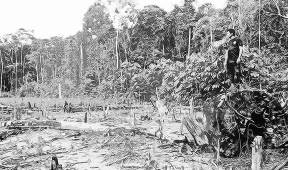 El perro del hortelano sigue mordiendo, por Manuel Pulgar Vidal