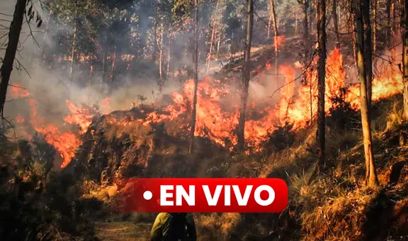[EN VIVO] Incendios forestales en Perú: Últimas noticias en Apurímac, Arequipa, Cusco y más