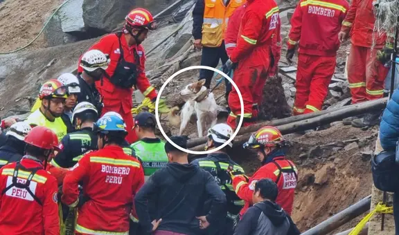 Derrumbe en Comas: perro guía ayudó a localizar el cuerpo del niño sepultado por pared de vivienda