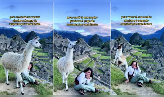 Llamita se roba la atención en foto de italiana en Machu Picchu: “Disculpa que te opaque, querida”