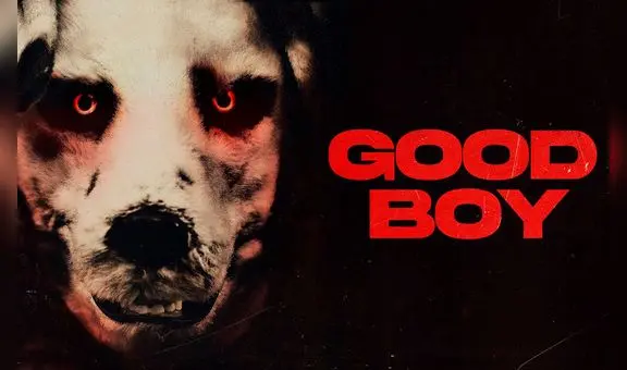 'Good Boy 2023', la película del hombre disfrazado de perro: ¿dónde ver ONLINE GRATIS?