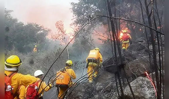 Incendio forestal en Machu Picchu consume zona de amortiguamiento del parque arqueológico