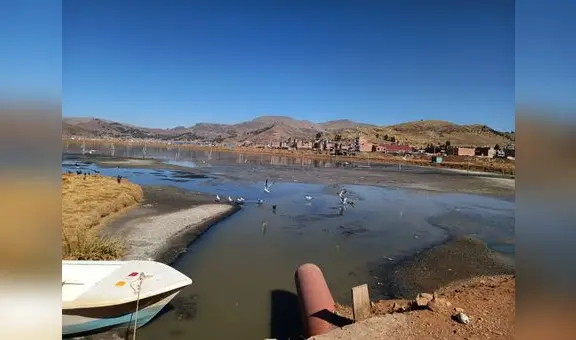 Las razones del fracaso en la descontaminación del lago Titicaca en Puno