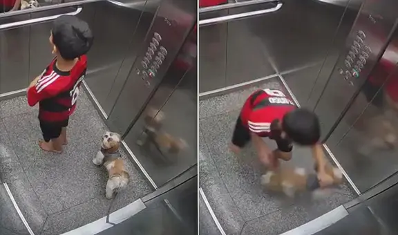 Niño salva a su perro luego de que su collar quedó atrapado en puerta de ascensor: “Sentí desesperación”