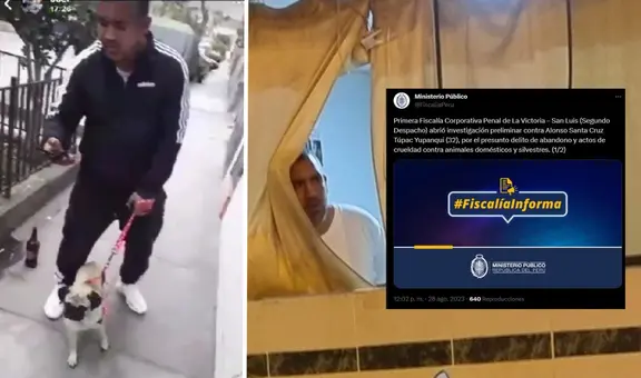 Fiscalía inicia investigación contra sujeto que agredió a perrita en La Victoria