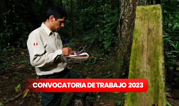 ¡Para adultos con secundaria! Sernanp abre convocatoria de trabajo con PAGOS desde S/1.800