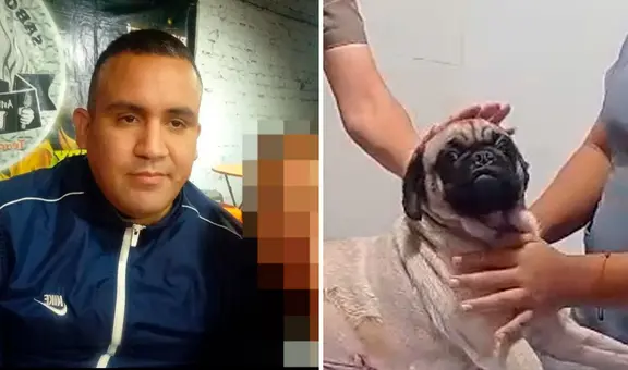 Perrita acuchillada en La Victoria permanece en veterinaria con pronóstico reservado