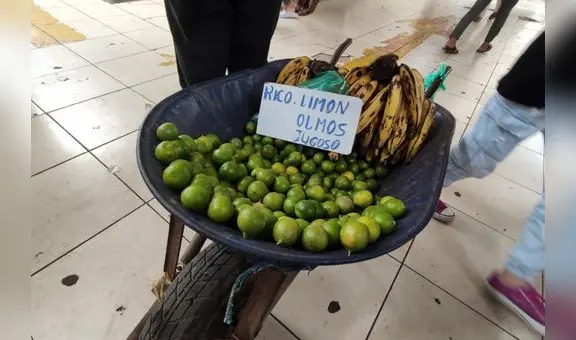 Chiclayo: comerciantes ofrecen a S/1 la unidad de limón por escasez del producto