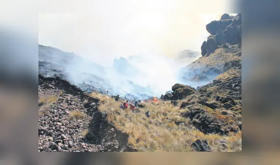 Puno : incendio forestal está incontrolable en Corani