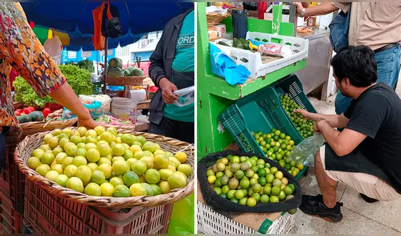 Precio del limón HOY 1 de septiembre: conoce cuánto cuesta el kilo del cítrico en cada región del Perú
