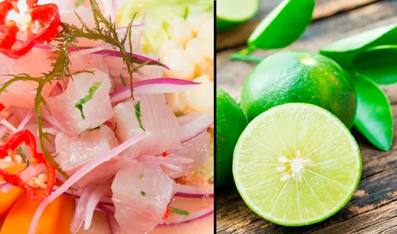 Ceviche con ácido acético: Chef  da recomendaciones para darte cuenta si tu plato está adulterado
