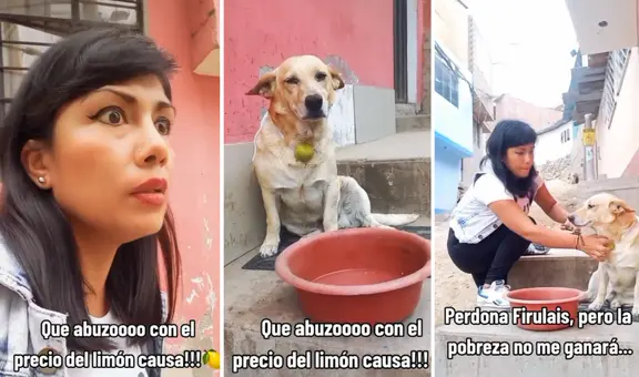 Peruana roba el limón que un perro tenía colgado en el cuello para su ceviche: "Esto ahora vale oro"