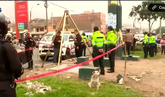 Comas: hombre fallece tras caer a un pozo cuando salía a pasear con su mascota